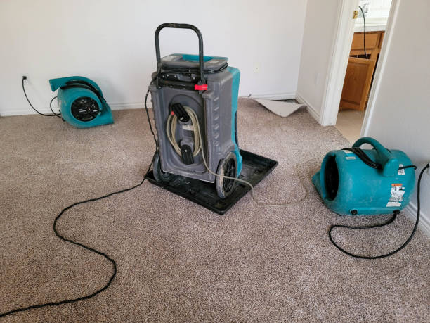 Best Water damage restoration services  in Trumann, AR