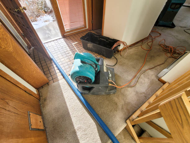 Best 24/7 water damage repair  in Trumann, AR