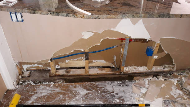 Best Water damage restoration near me  in Trumann, AR