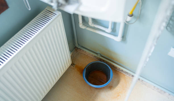Best Mold removal after water damage  in Trumann, AR