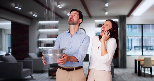 Best Flood restoration services  in Trumann, AR